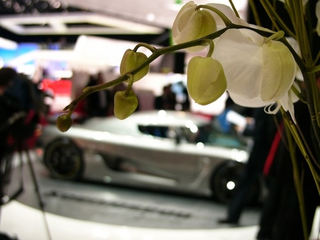 Illustration for article titled 2010 Geneva Motor Show: Koenigsegg Agera